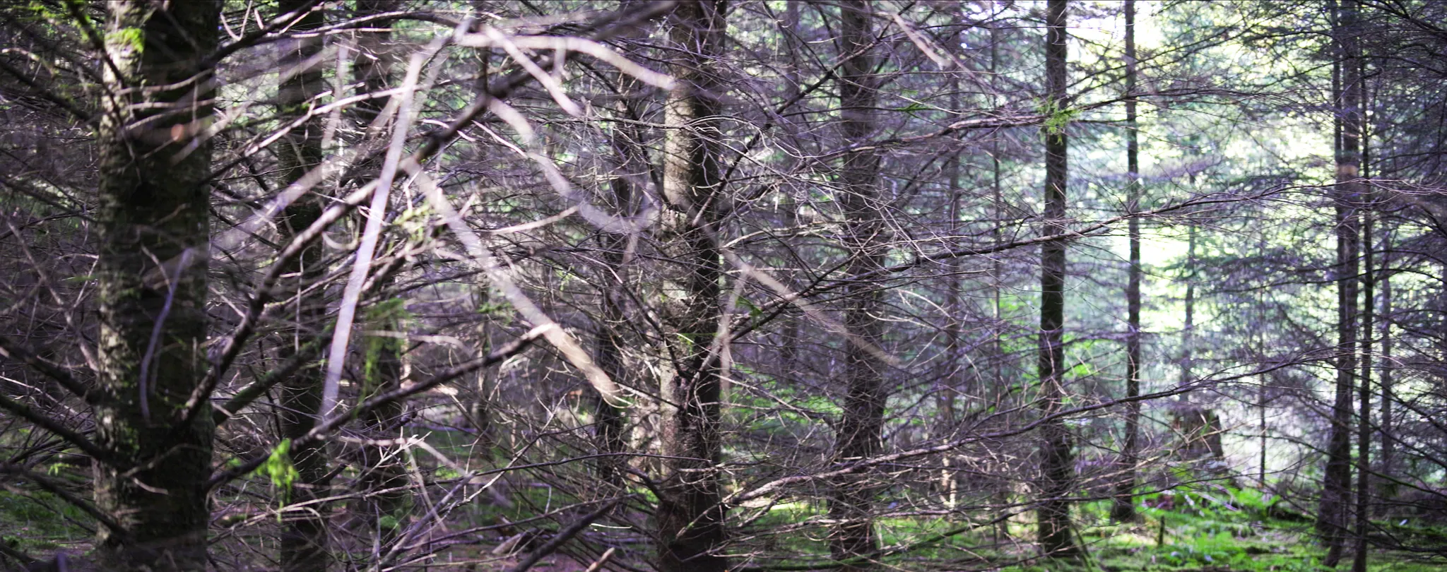 Photogramme 3