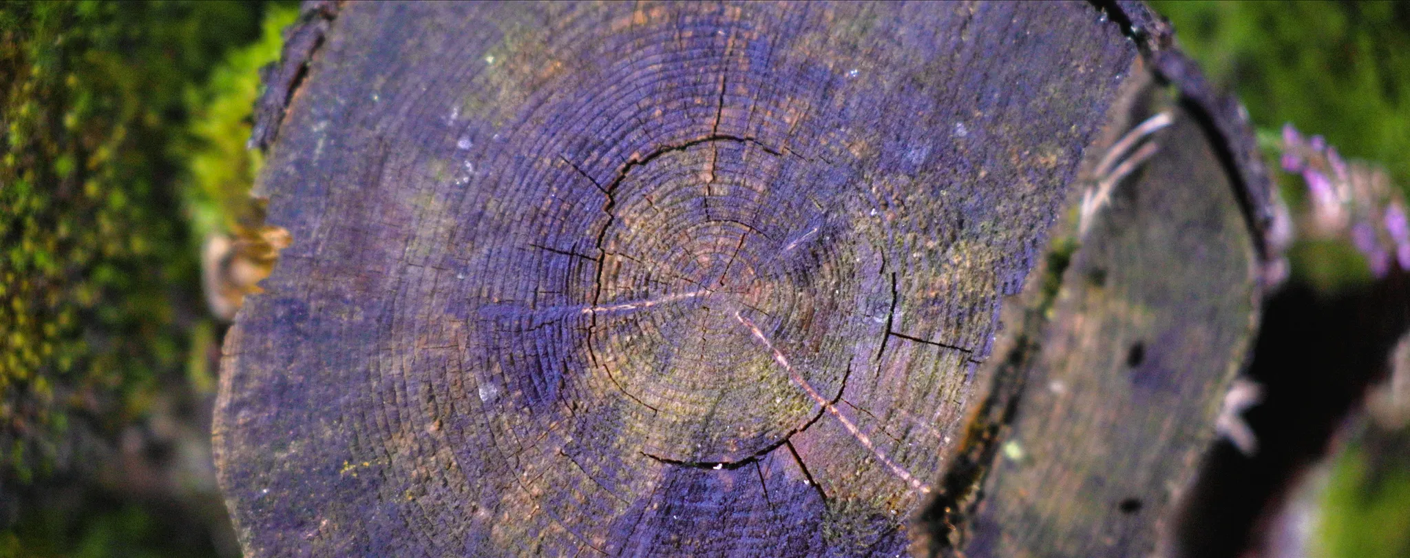 Photogramme 4